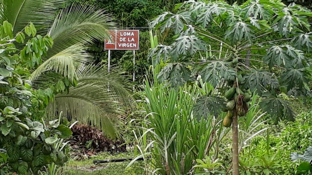 Posada El Acuario Bahia Solano Eksteriør billede