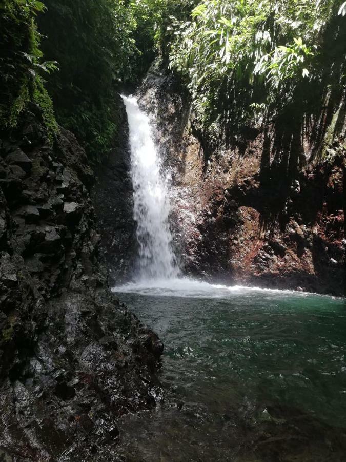 Posada El Acuario Bahia Solano Eksteriør billede