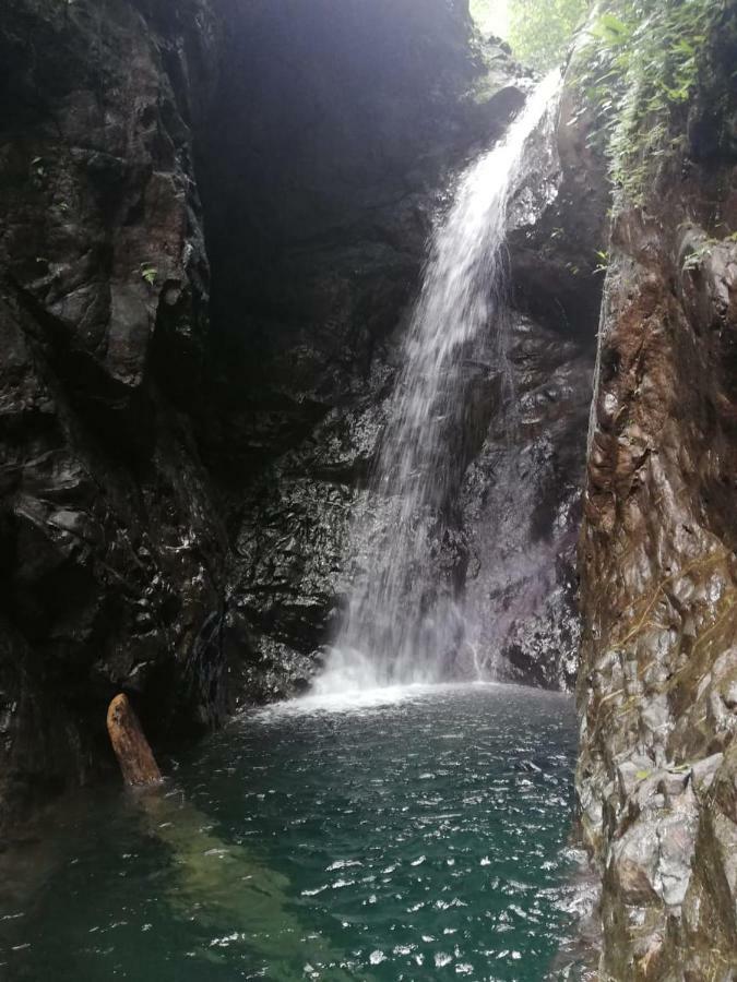 Posada El Acuario Bahia Solano Eksteriør billede